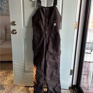Carhartt Insulated Bibs